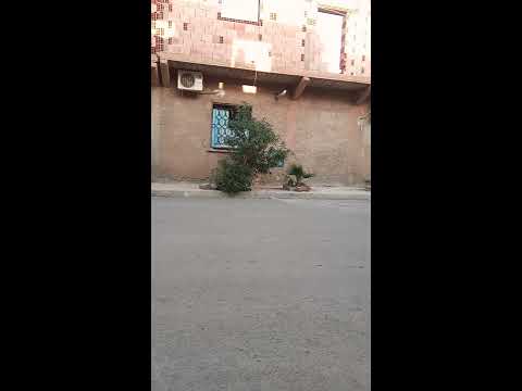 قصر الشلالة احمد 