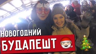 Новый Год в Будапеште, Сечени, зоопарк(Это небольшое видео насыщено событиями: погуляем по зоопарку Будапешта, в лучших традициях “Иронии Судьбы..., 2016-03-18T09:52:24.000Z)