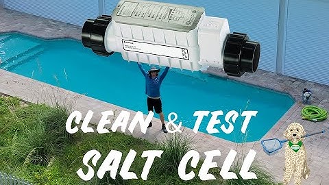 HOW TO CLEAN & TEST A SALT CELL : PENTAIR INTELICHLOR