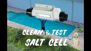 HOW TO CLEAN & TEST A SALT CELL : PENTAIR INTELICHLOR