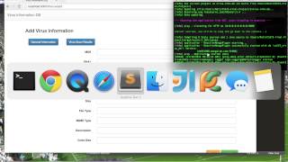 Virus Information DB (CS 575 Final Project)