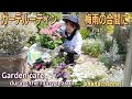 【ガーデンルーティン】梅雨の合間に🌞夏の花に植え替え、球根の堀り上げ、剪定など🌺Garden Care (rainy season), Replanting with summer flowers🌴