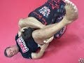 MMA Seminar #3 Oleg Taktarov (Болевые на ноги и переходы) Legs and Guard