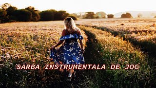 SARBA INSTRUMENTALA [36] | COLAJ SARBE DE JOC LA ORGA | SARBA 2023 | HIT 2023