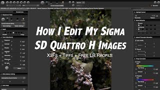 How I Edit My Sigma SD Quattro H Images - X3Fs + Tiffs + Free LR Profile screenshot 4