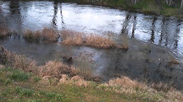 Syma X5C camera test on near focus + long distance