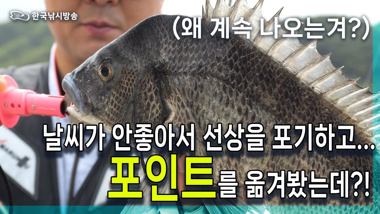 THE FACT 35화 예상하지 못한 대박 조황