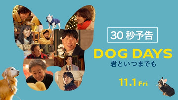 映画『DOG DAYS 君といつまでも』30秒予告 | 2024年11月1日(金)公開