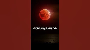 "مشهد خسوف القمر مع تلاوة الآية {فإذا برق البصر وخَسَف القمر} 🌙– ياسر الدوسري"