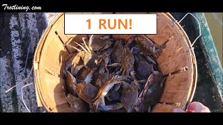 How to Trotline For Blue Crabs Where No One Has Ever Trotlined Before