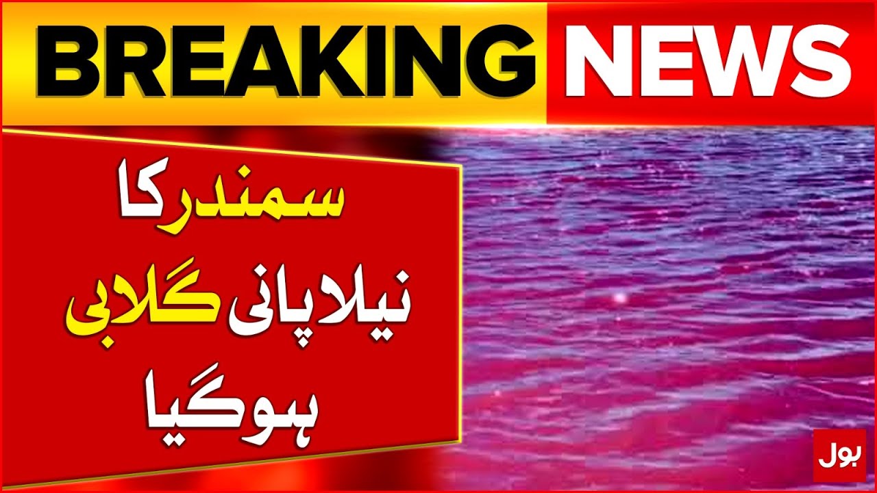 Gaddani Sea Turns Pink |  Experts Explain Microscopic Marine Phenomenon | Breaking News