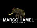 Marco hamel un mchant moineau mais qui na pas tout faux il se trompe pour dom mais pas plus