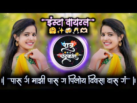 पारू ग माझी पारू ग पीलोय दिवसा दारू ग | Paru G Mazi Paru G | Active Pad Mix Dj Raju Devkatte