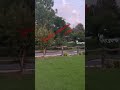 Beautiful weather of kakul abbottabad #shorts #trending #youtubeshorts #shortsfeed #kakul