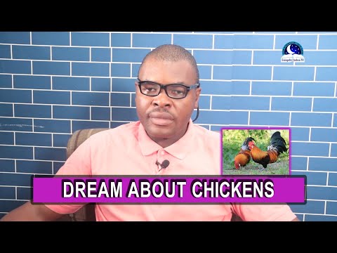 Video: Why Is The Chicken Dreaming