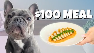Feeding My Frenchie a $100 Gourmet Menu