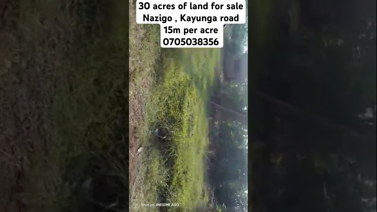 Land for Sale – Nazigo, Kayunga–jinja Road