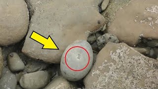 Он нашёл странный камень на пляже и решил его открыть! Увиденное поражает!