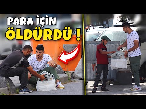 EVSİZ İNSANLAR PARA İÇİN HAYVAN ÖLDÜRÜR MÜ ? ÖLDÜRÜYORDU !!