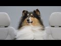 Volvo Recharge Plug in Hybrids | Electrifying