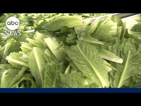 Taylor Farms suspends production of iceberg lettuce in Mexico