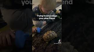 Tortoise is too slow 😂