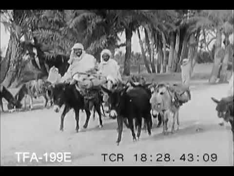 عرب الصحراء 
