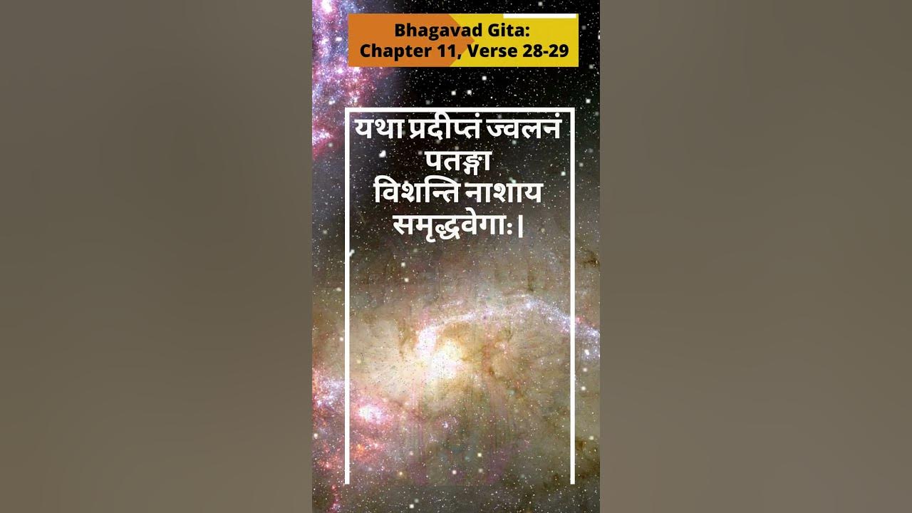 daily-dose-of-wisdom-bhagavad-gita-chapter-11-verse-28-29-maaruti