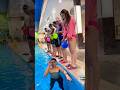 Swimming pool   swimming cap shorts swimming fitness flyboard bluesilver waterpar