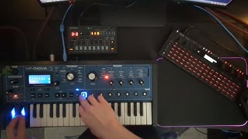 Mininova Initial + Korg SQ64 Drums