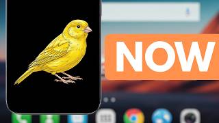 Don't Wait for the OTA! Force Update Android Canary Now!