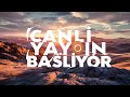 Game Asset Yapıyoruz