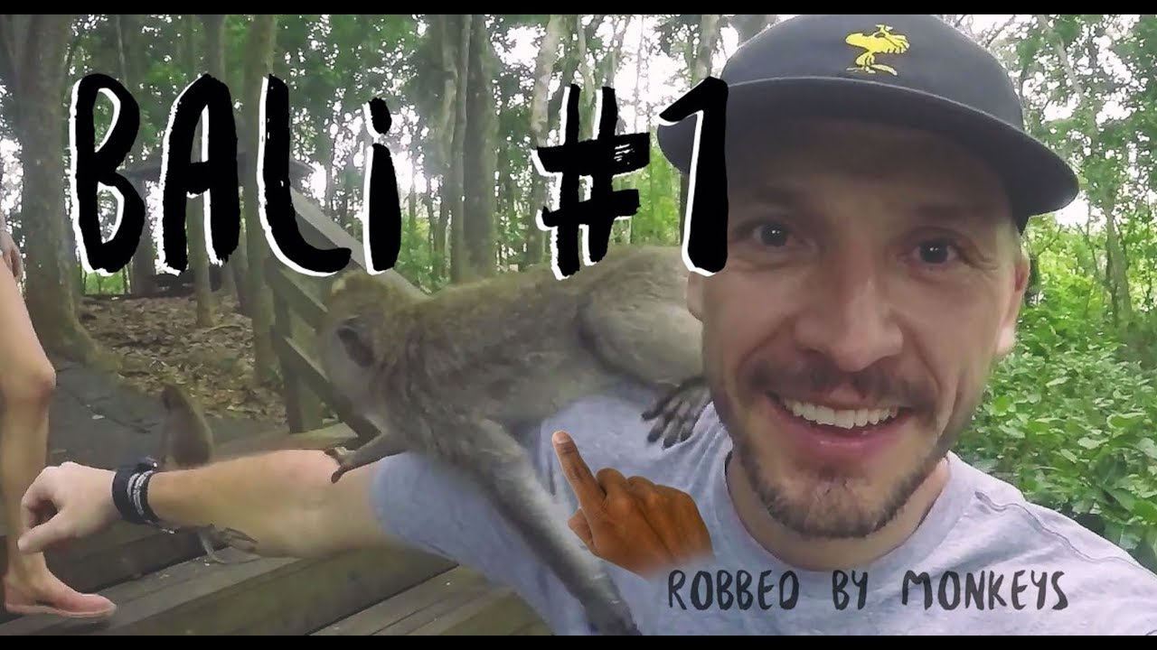 Okradly nás opice?! - Tomas Vintr ON TOUR - BALI #01 - s01e01