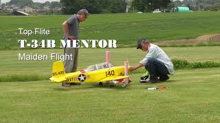 Top Flite T-34 MENTOR 20cc - YouTube