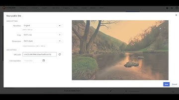 How to create a public link for a asset in Sitecore Content Hub