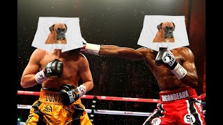 Boxers