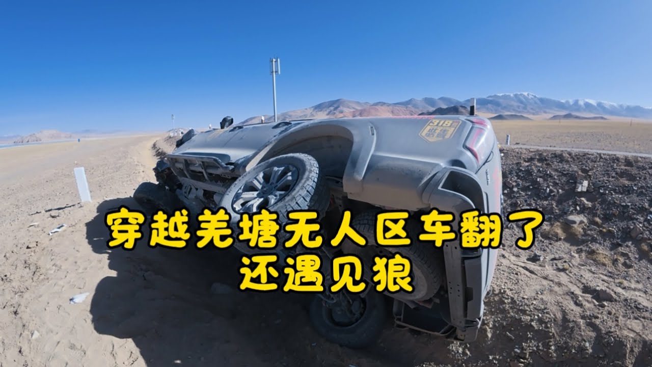 鐵牛旅行記727集/穿越西藏羌塘無人區車翻到溝裡，還有狼跟著你，該怎麼辦？#狗是人类最忠诚的朋友 #環遊中國 #自驾游 #dog