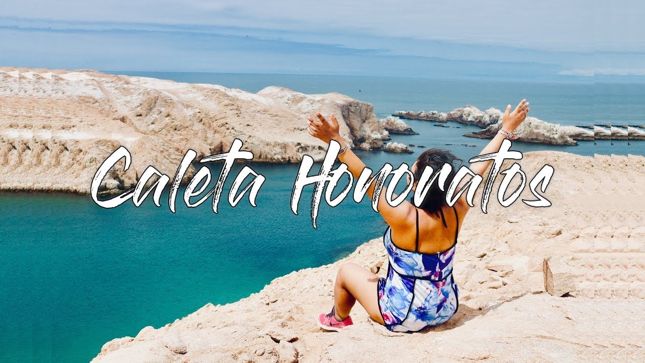 Caleta Honoratos y la Reserva de Hornillos : Lobos marinos, pinguiños y pelícanos