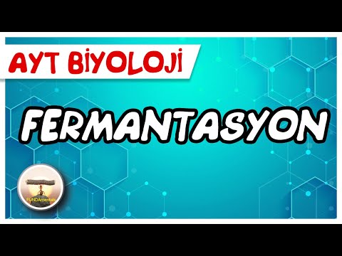 AYT Biyoloji | Fermantasyon #sayfa172