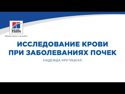 Вебинар №4 школы НЕФРОУРОВЕТ: "Исследование крови при заболеваниях почек".