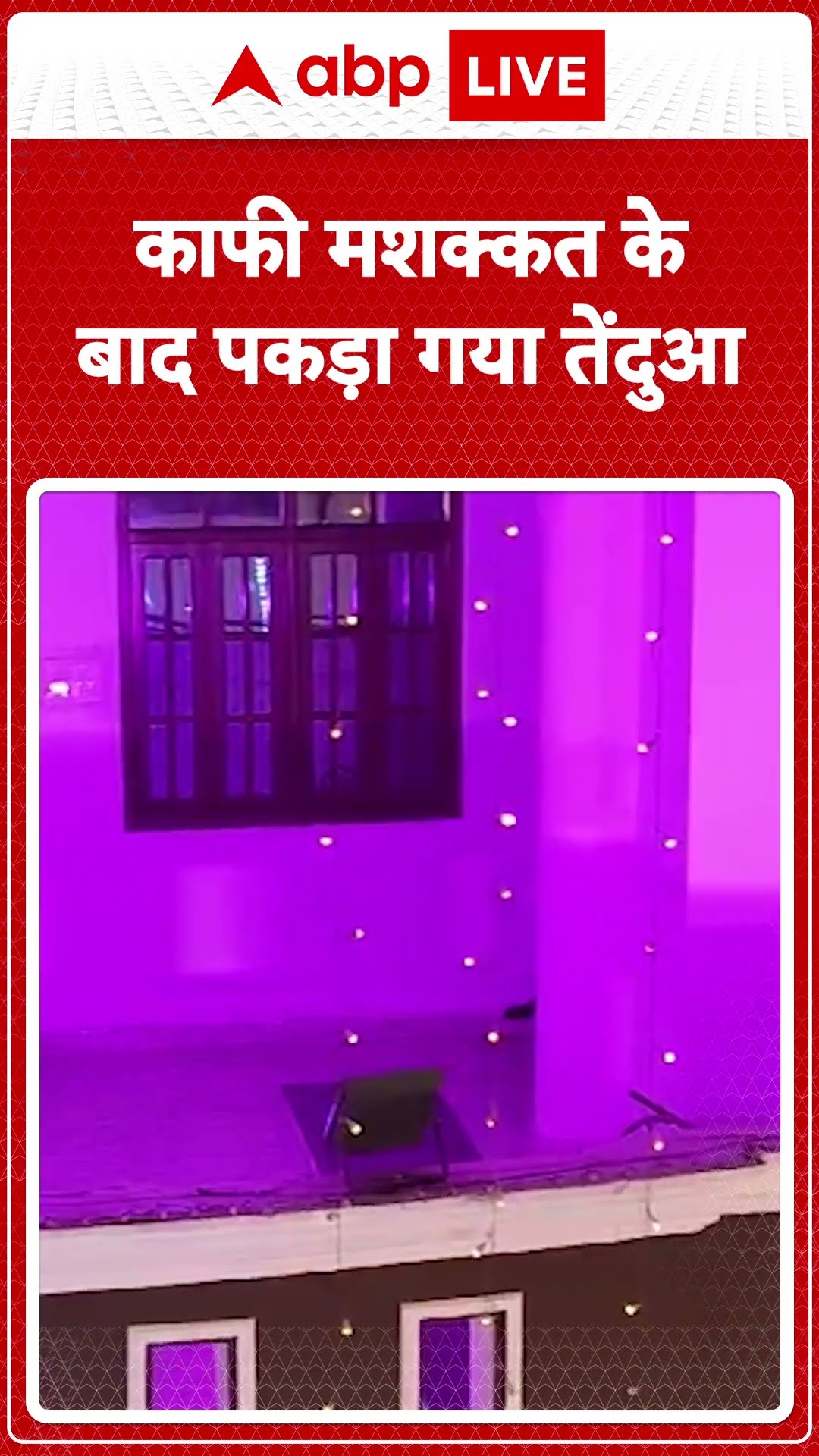 Leopard in Marriage Hall: लखनऊ की शादी में घुसा तेंदुआ, काफी मशक्कत के बाद पकड़ा गया | ABP LIVE