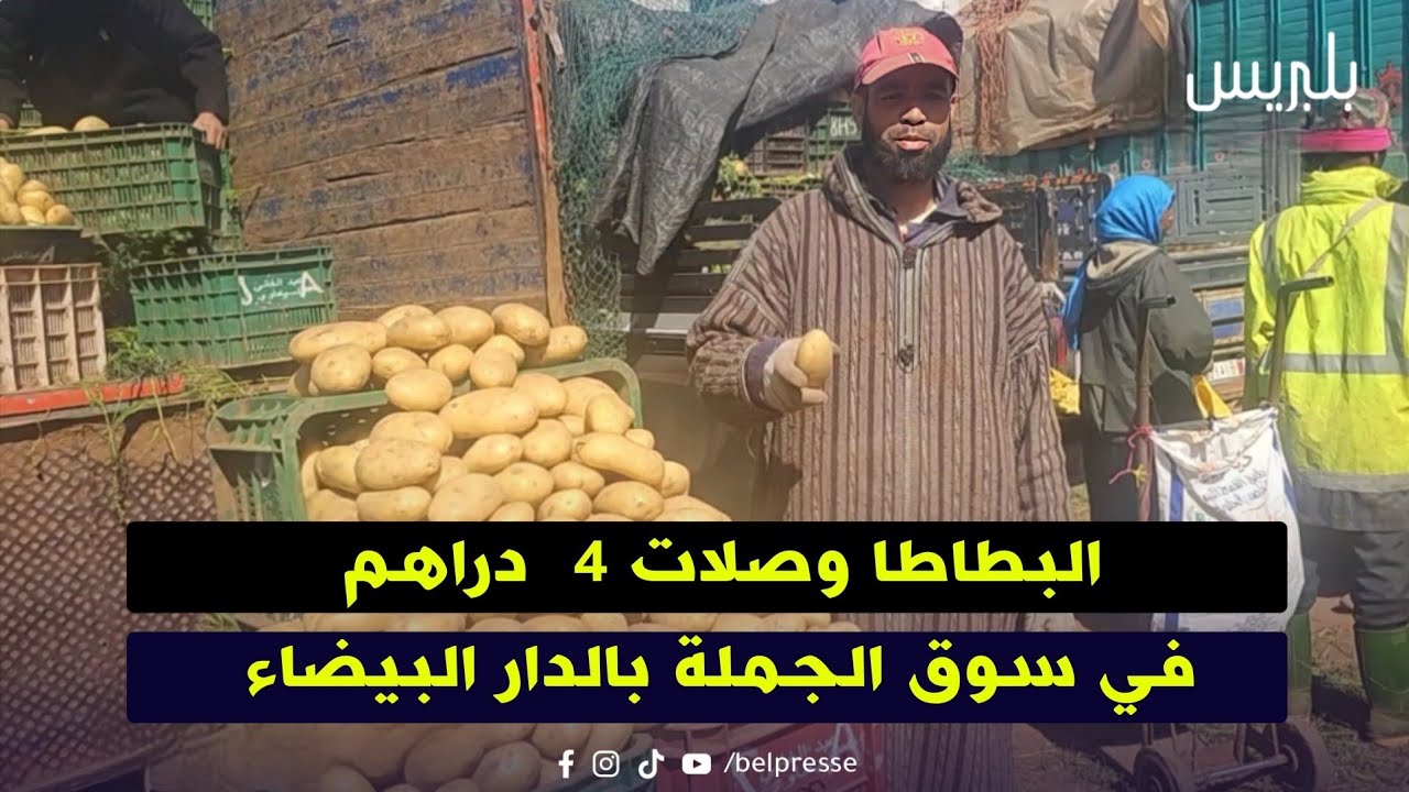 البطاطا وصلات 4  دراهم في سوق الجملة بالدار البيضاء 