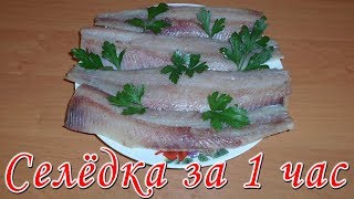 :     1 ! ,    ! Homemade Salted Herring