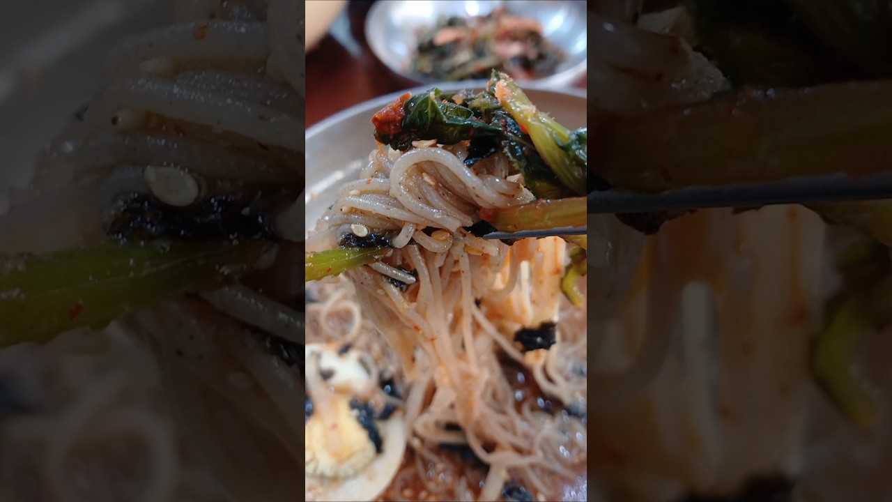 #강원도 막국수 맛집 #양양맛집추천 #범바우막국수 #들깨막국수 #강원도여행 #양양여행 #최근맛집중최고임 #shorts