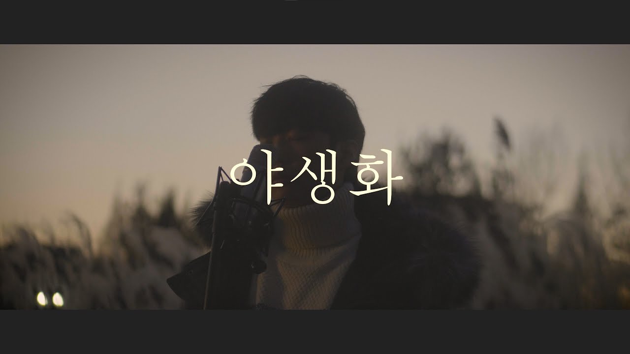 박효신 (Park Hyo Shin) 야생화 (Wild Flower) (한송우 cover) YouTube
