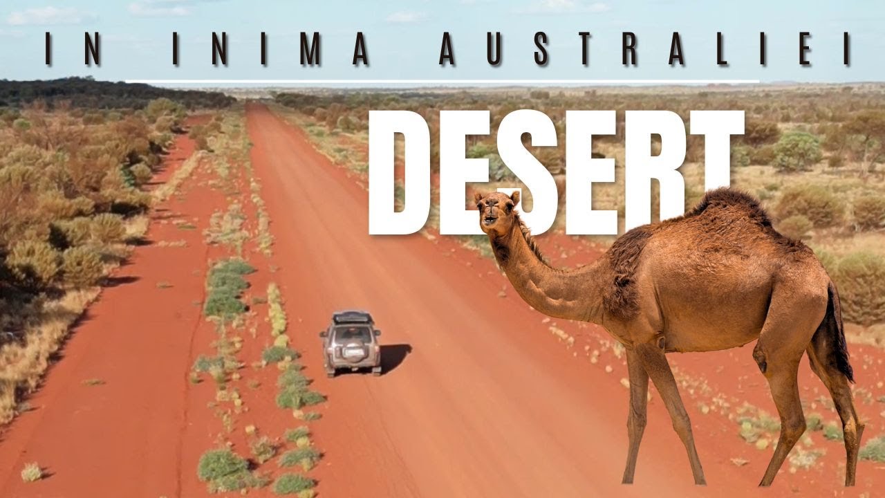 Drum PERICULOS de mii de km prin DESERT -  parcurgem the OUTBACK way / Exploram Australia - Ep. 16