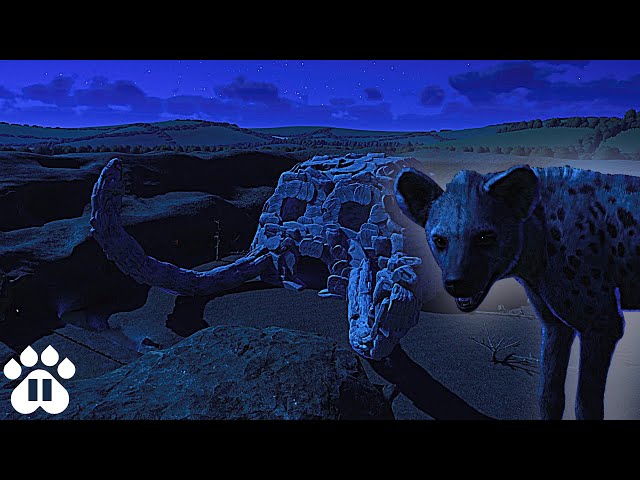 Elephant Graveyard アラビアンナイト Elephant Graveyard