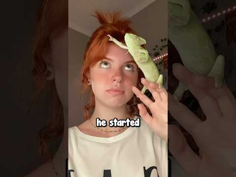 Girl Becomes Friends With A Chameleon Pixyvava 