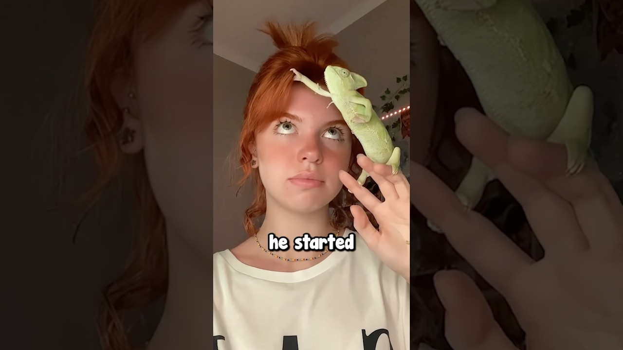 Girl Becomes Friends With a Chameleon 🥹❤️ (@pixyvava)