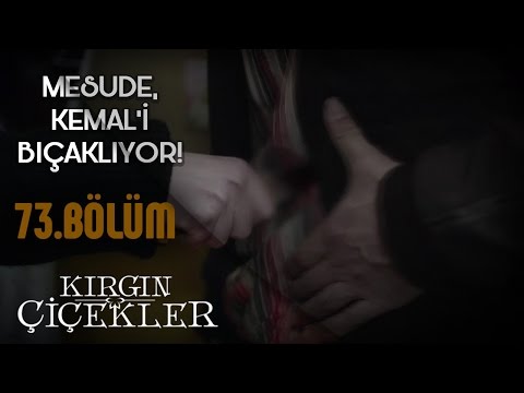 Kırgın Çiçekler 73. Bölüm - Mesude, Kemal’i bıçaklıyor!